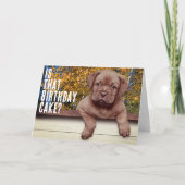 Modèle de photo de chiot brun mignon pour annivers (Devant)