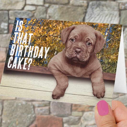 Modèle de photo de chiot brun mignon pour annivers