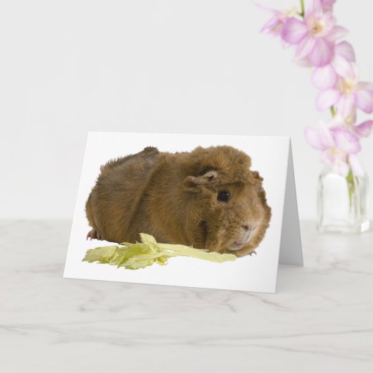 Modèle de photo de cochon d'Inde mignon qui vous f (Orchidée)