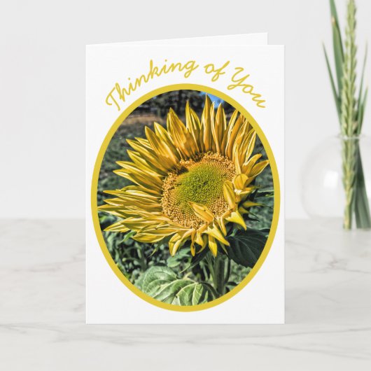 Modèle de photo de tournesol HDR pour penser à vou (Devant)