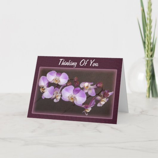 Modèle de photo d'orchidée blanche violette pour p (Devant)