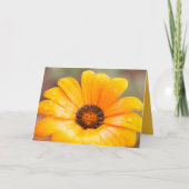 Modèle de photo en gros plan de Marguerite africai (Devant)