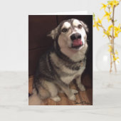 Modèle de photographie de Malamute d'Alaska mignon (Fleur jaune)