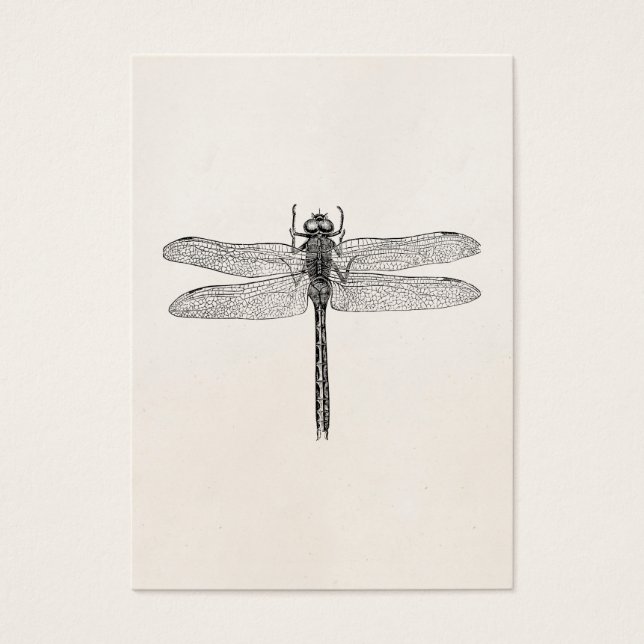 Modèle de vol de dragonfly dragon vintage américai (Devant)