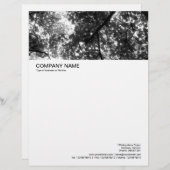 Modèle D'en-tête De Lettre En-tête grande image - Canopée en bois (Devant / Derrière)