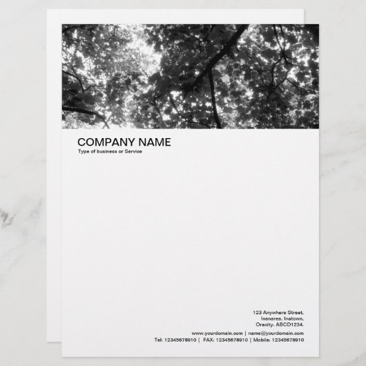 Modèle D'en-tête De Lettre En-tête grande image - Canopée en bois (Devant / Derrière)