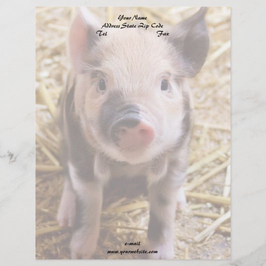 Modèle D'en-tête De Lettre Piglet (Devant)