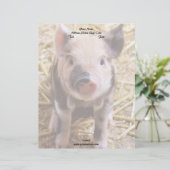 Modèle D'en-tête De Lettre Piglet (Debout devant)