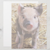 Modèle D'en-tête De Lettre Piglet (Devant / Derrière)
