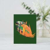 Modèle des invitations sud-africaines au rugby (Debout devant)