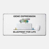 Modèle D'Expression Génétique Pour Les Gènes Homéo (Clavier et souris)