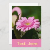 Modèle d'invitation par carte mariage (Devant / Derrière)