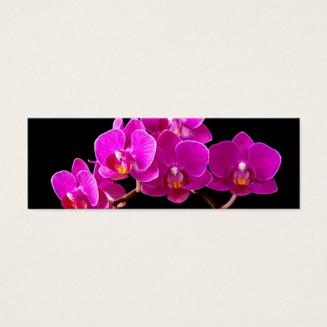 Modèle d'orchidées roses chaudes Dendrobium Orchid (Devant)