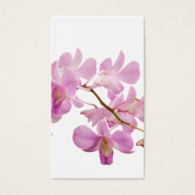 Modèle d'orchidées roses chaudes Dendrobium Orchid (Devant)