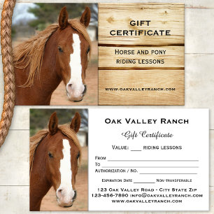 Modèle du certificat cadeau pour l'équitation