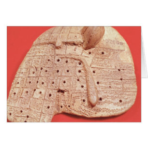 Modèle du foie d'un mouton