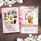 Modèle du programme funéraire avec oeillets roses