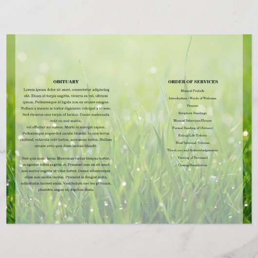 Modèle du programme funéraire de nature verte (Dos)