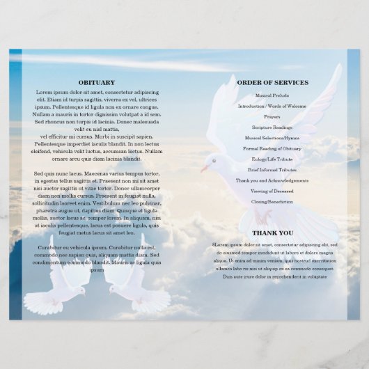 Modèle du programme funéraire de plage bleue et de (Dos)