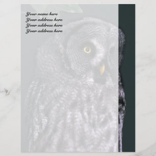 Modèle en-tête de lettre Great Grey Owl