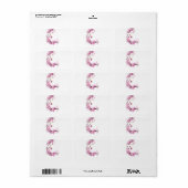 modèle étiquette de adresse (Feuille entière)