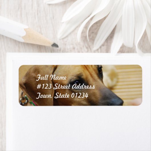 Modèle Étiquette de courrier 2 - Customisé (En situation)