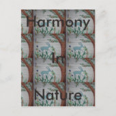 Modèle horizontal carte postale (Devant)