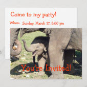 Modèle Invitations d'éléphants de bébés (Devant / Derrière)