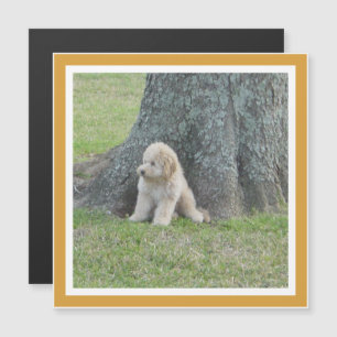 Modèle moderne de souvenir photo Magnet jaune