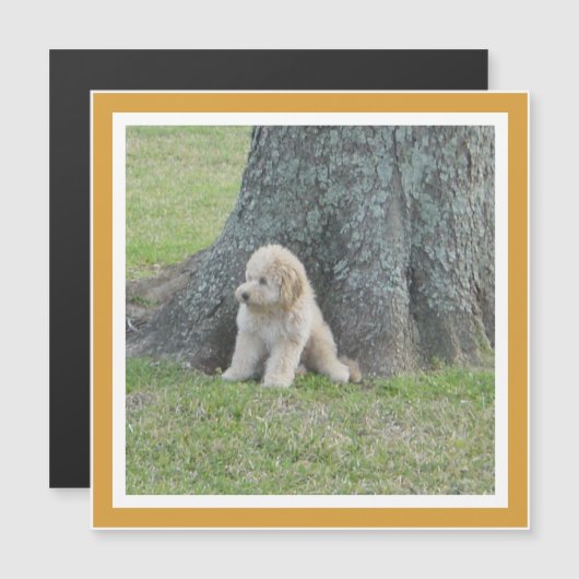 Modèle moderne de souvenir photo Magnet jaune (Devant / Derrière)