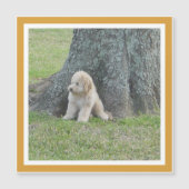 Modèle moderne de souvenir photo Magnet jaune (Devant)