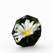 Modèle octogonal de blocs photo (Gauche)