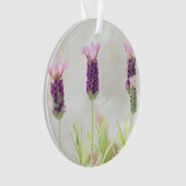 modèle ornemental clair (devant)