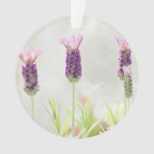 modèle ornemental clair (devant)