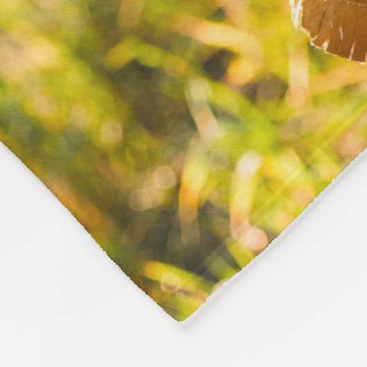 Modèle photo de couverture souple (Coin)