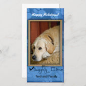 Modèle photo pour animaux de compagnie - Naughty o (Devant / Derrière)