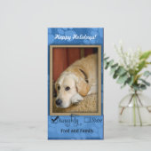 Modèle photo pour animaux de compagnie - Naughty o (Debout devant)