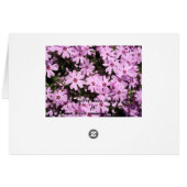 Modèle pourpre de carte d'endroit de Tableau de (Dos Horizontal)