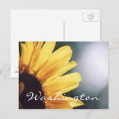 Modèle Sunflower de la carte postale Washington (Devant / Derrière)