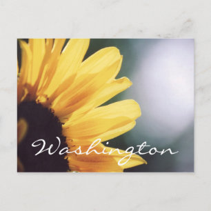 Modèle Sunflower de la carte postale Washington