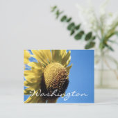 Modèle Sunflower de la carte postale Washington (Debout devant)