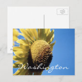 Modèle Sunflower de la carte postale Washington (Devant / Derrière)