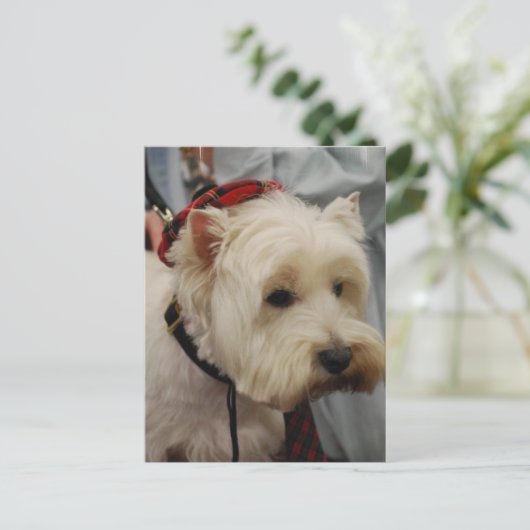 Modèle vertical carte postale - Customisé (Debout devant)