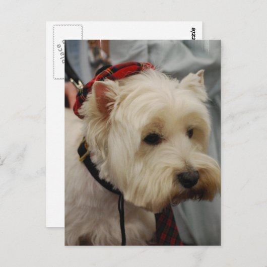 Modèle vertical carte postale - Customisé (Devant / Derrière)