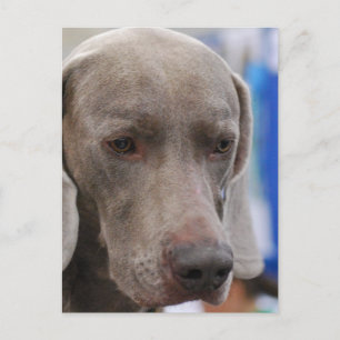 Modèle vertical carte postale - Customisé