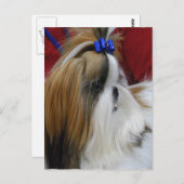 Modèle vertical carte postale - Customisé (Devant / Derrière)