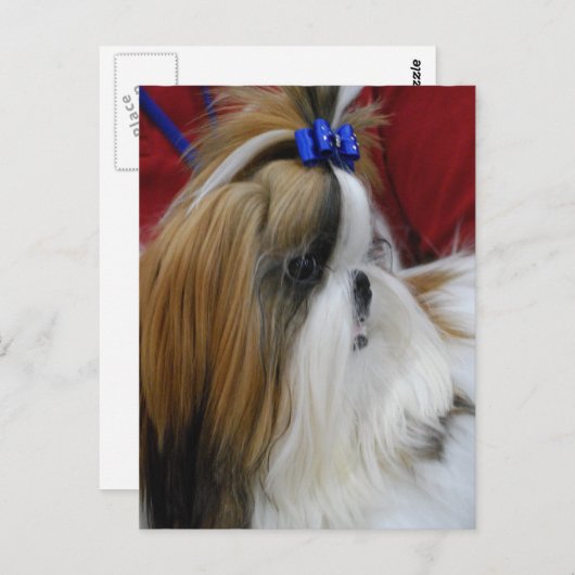 Modèle vertical carte postale - Customisé (Devant / Derrière)