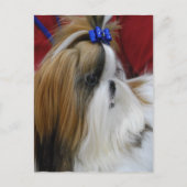 Modèle vertical carte postale - Customisé (Devant)