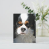 Modèle vertical carte postale - Customisé (Debout devant)