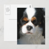 Modèle vertical carte postale - Customisé (Devant / Derrière)